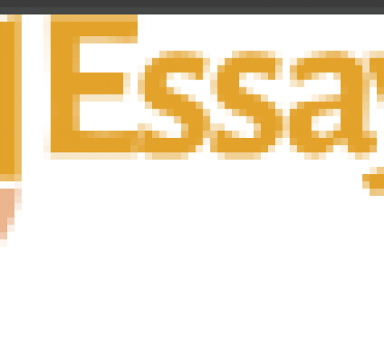 Essay Writer NZ